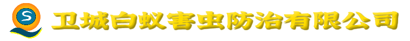 ݸǰϺ޹˾